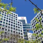 Adobe Stock Price Prediction: $340 Bull Case vs $185 Bear…